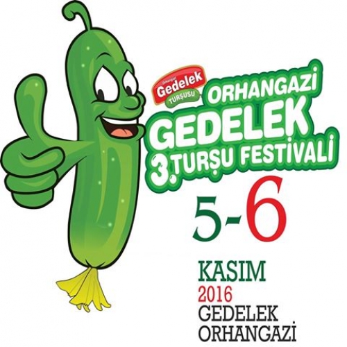Üçüncü Orhangazi Gedelek Turşu Festivali Başlıyor