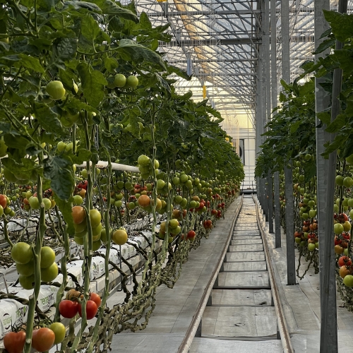 Meclis Üyelerimiz ile Hektaş'ı Ziyaret Ettik