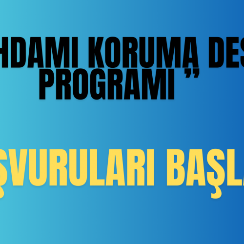 İstihdamı Koruma Destek Programı Uygulama Yönetmeliği